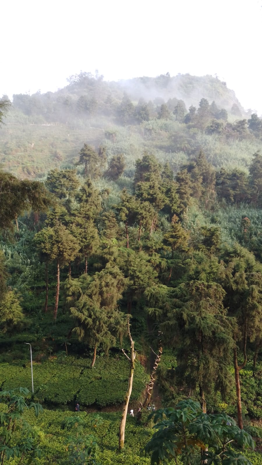 Alam, sebuah Hutang Generasi